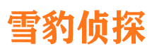 绥中调查取证